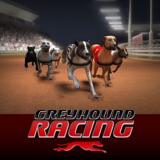 Greyhound Racing